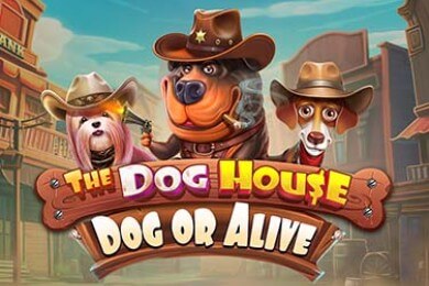 Thedoghousedogoralive автомат Азино777 Казино